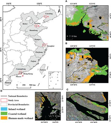 Ecological environmental quality assessment of Chinese estuarine wetlands during 2000–2020 based on a remote sensing ecological index